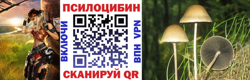 Купить  Курлово  Псилоцибиновые грибы мухоморы 